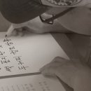 [예쁜무료폰트] 나눔손글씨붓 , 미생체 , 고도체 , 더페이스샵잉크리퀴드체, 즐거운이야기체, 야놀자 야체 이미지