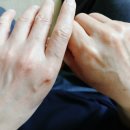 진종합화장품 - 부산진구 중앙대로 737 | 진종합화장품