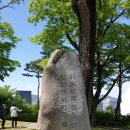 일일부독서구중생형극 이미지