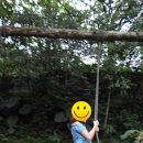 토성농장 이미지