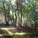 우산공원1 이미지