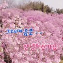 주정차단속-17 이미지