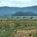 신리할머니 이미지