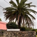 리인제주 이미지