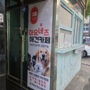 자유유치원 | 광안리 마요네즈 애견유치원 대형견 중형견 동반카페 방문후기