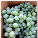 예은농장 이미지