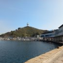 북영덕농협 축산항지점 이미지