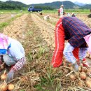 2015 농업정책자금’⑴농축산경영자금-농민신문 이미지