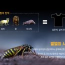 말벌 피하는 법 이미지