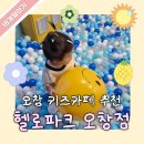 아이젠트리 홈플러스 오창점 | 18개월 아기와 주말에 청주 오창 가볼 만한 곳 : 홈플러스 키즈카페 영업 중 헬로파크 오창점 내돈내산후기