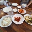 상황삼계탕 | 한양대 에리카 맛집 몸보신에 좋은 상황삼계탕 후기