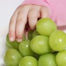 신선농원 | 영천샤인머스켓 온누리농원 고당도 샤인포도 후기