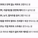 피오리다 이미지