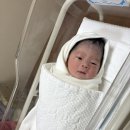꾸꾸별