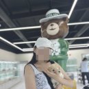 인천강아지분양 테디럽 이미지