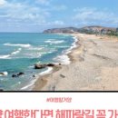 남대천L 네이버블로그