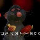 밀레니엄21 이미지