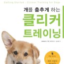 스탠독 네이버블로그