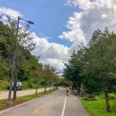 빠빠에피 이미지