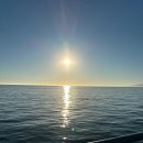 산타비치 | 미국 LA 산타모니카 비치 후기｜아이들과 처음 본 태평양, 아무 준비 없이도 좋았던 하루