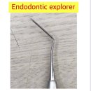 상아치과기공주식회사 | 치과보존학