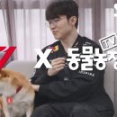 티원 동물농장 콜라보 이미지