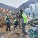 이영우농장 이미지