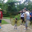 전일농장 이미지