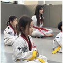 거룡태권도2관 이미지