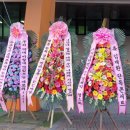 서강피앤디