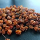 산약초 | 관절·간·혈압관리까지 한번에? 울릉도 산약초 ‘마가보감’ 먹어본 후기