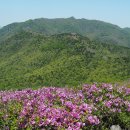 제암산등산로 이미지