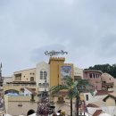 디제이코인 | 용인 🏊‍♀️ 캐리비안베이 후기