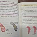 비단지음 이미지