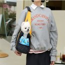 그루비펫 이미지