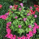 중앙합동행정사사무소 이미지