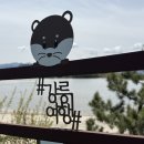 연곡해변솔향기캠핑장 | [공지] 아이랑 강릉여행 연곡해변솔향기캠핑장 카라반D705 명당 후기
