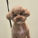 우리단비랑 이미지