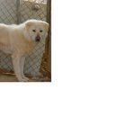 서야농장 이미지