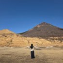 ㈜한국교통(마을버스) | 히타 유후인 1일 버스투어 벳푸, 유후다케 여행 NOL 라쿠투어 후기!