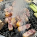 앞산강아지