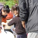 서촌초교병설 이미지