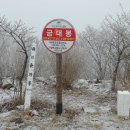 강원화원 이미지