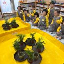 마곡11 나무햇살어린이집 이미지