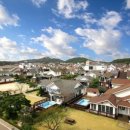 다감 스테이 이미지