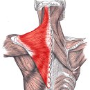경희보비한의원 이미지