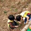 웅포 곰돌이 유아숲체험원 이미지