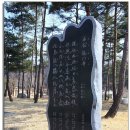 용문산 둥지 이미지