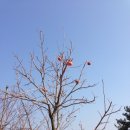 JH농장 이미지