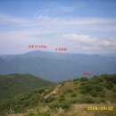 파래소 가든 이미지